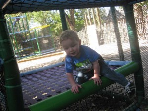 Playing on the really cool jungle gym