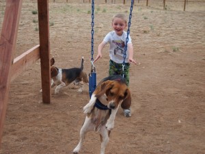 Baden pushing Ruby on the swing. 